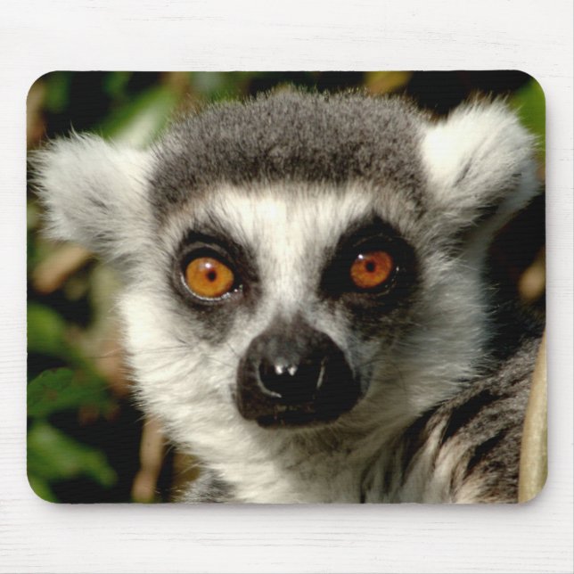 Lenur Mousepad (Frente)