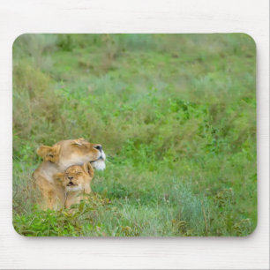 Leoa do amor de mãe & bebê Mousepad
