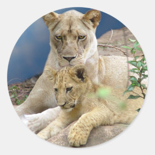 Leoa e etiqueta de Cub