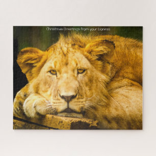 Leoa Grandes Felinos. Quebra-Cabeça