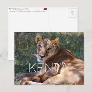Leoa no Masai Mara, Quênia - Cartão Postal de Viag