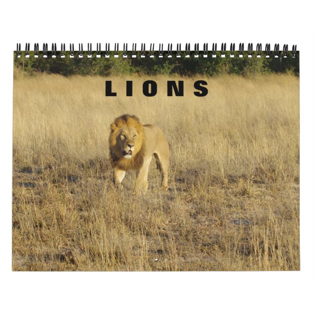 LEÕES - CALENDÁRIO DE TODOS OS LEÕES (Capa)
