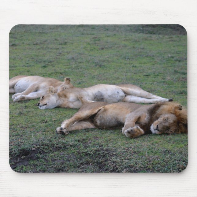 Leões de Nápoles - Mousepad (Frente)