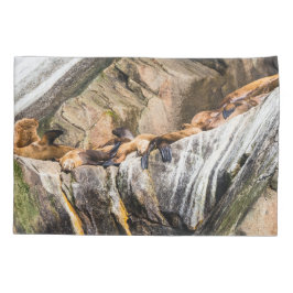 Leões Do Mar Deitados Nas Rochas