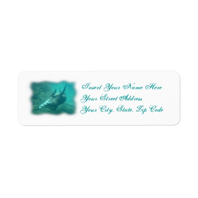 Leões do Mar Etiquetas Personalizáveis (Frente)