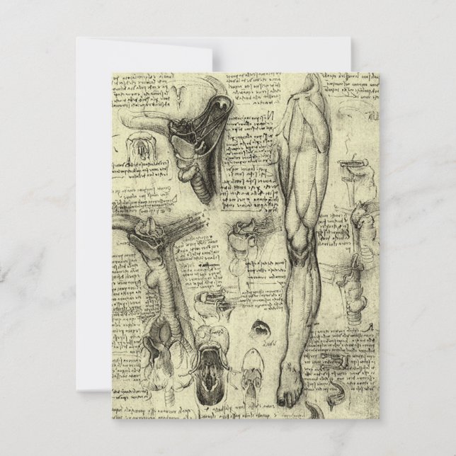 Leonardo da Vinci Antiga Anatomia Humana Laringe P (Frente)