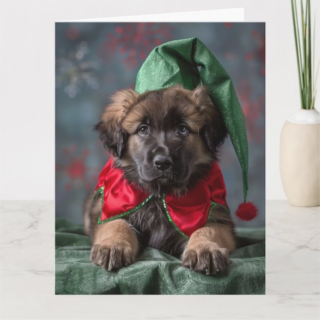 Leonberger Elf Puppy Cartão de Natal (Frente)