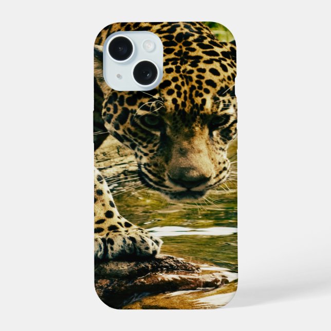 Leopard cruzando uma corrente (Verso)