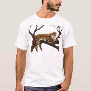 Leopardo africano no t-shirt da árvore