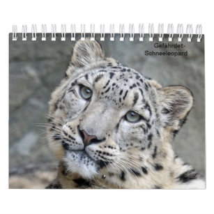 Leopardo de neve como calendários