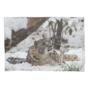 Leopardo de neve curioso na neve