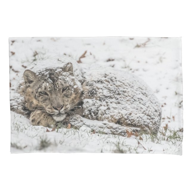 Leopardo de Neve Sonolento (Frente)