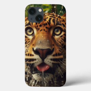 Leopardo encara enquanto bebe água na selva