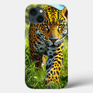 Leopardo Fofo