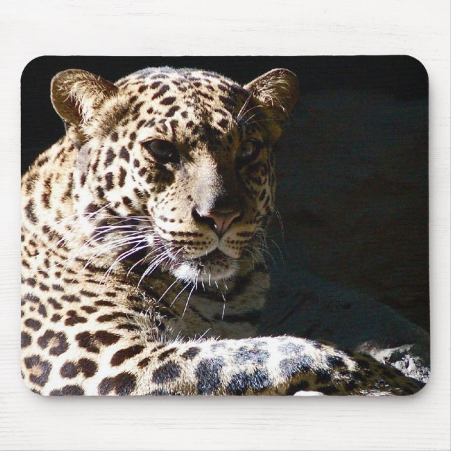 Leopardo legal Mousepad (Frente)