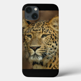 Leopardo Lovers Art