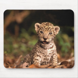 Leopardo Mousepad do bebê
