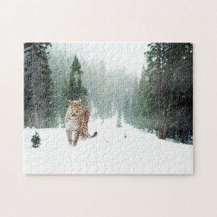 Leopardo selvagem na Quebra-cabeça de Snow Jigsaw