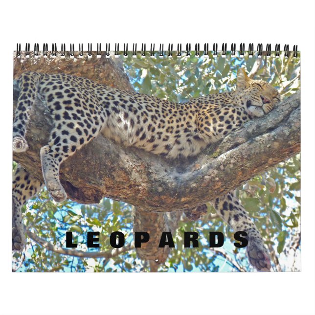 LEOPARDOS - CALENDÁRIO COMPLETO DE LEOPARDOS (Capa)