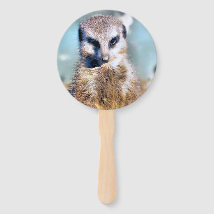 LEQUE CUTE MEERKAT