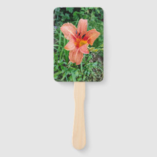 Leque Day Lilly