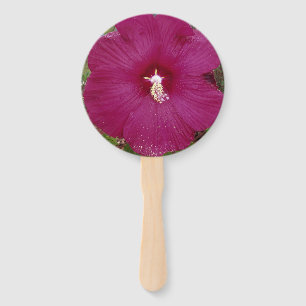 Leque grande flor vermelha-escura do Hibiscus