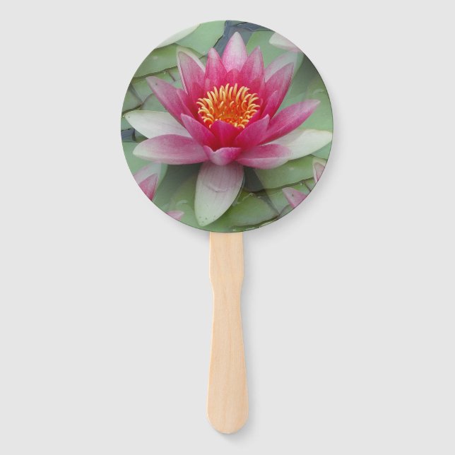 Leque Lily de Água do Lotus Rosa (Frente)
