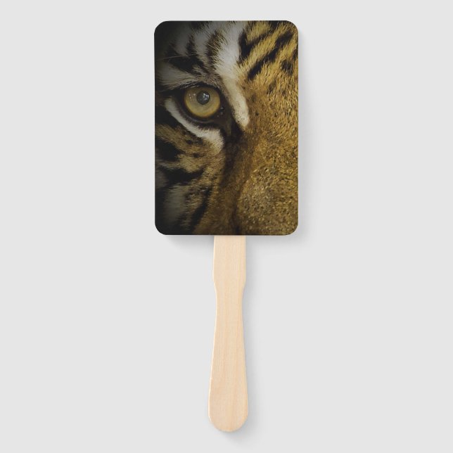 Leque No Olho de um Tigre (Frente)