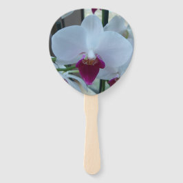 Leque Orquídeas da Phalaenopse branca e púrpura