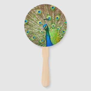 Leque Peacock