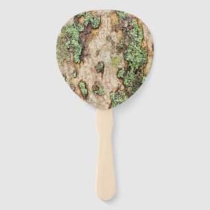 Leque Sycamore Tree Latido Moss Lichen