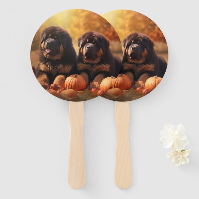 Leque Tibetano Mastiff Puppy Autumn Delight Pumpkin (Frente e Verso)