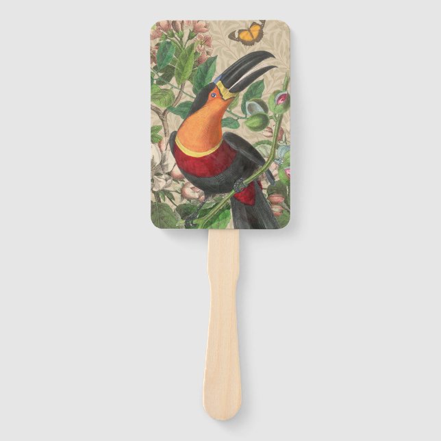 Leque Toucan Jungle Tropical Bird Beauful Antiguidade (Frente)