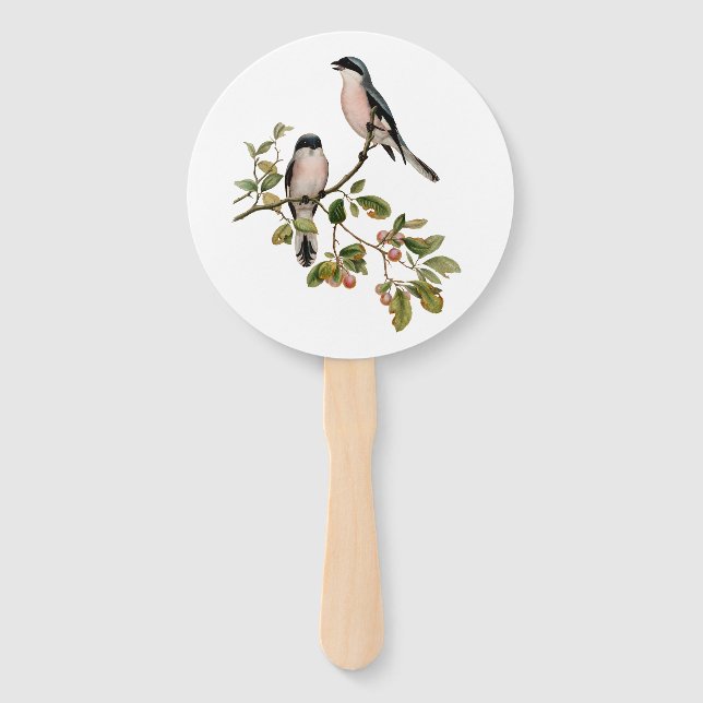 Leque Vintage Bonito Birds em uma ramificação (Frente)