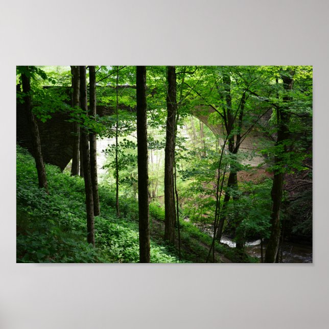 Letchworth Bridge Green Forest Poster (Frente)