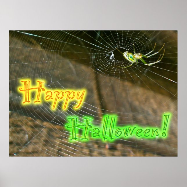 Leucauge Orb Weaver Halloween Poster (Frente)