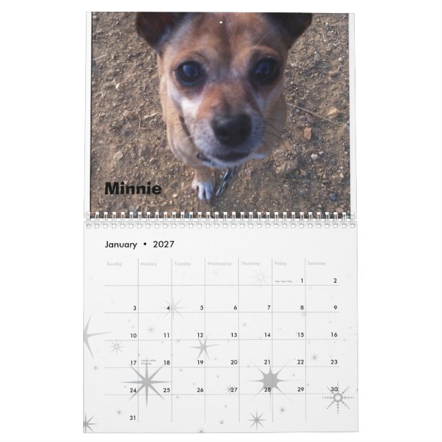 Lexi 2013 & calendário do cão dos amigos (Jan 2027)