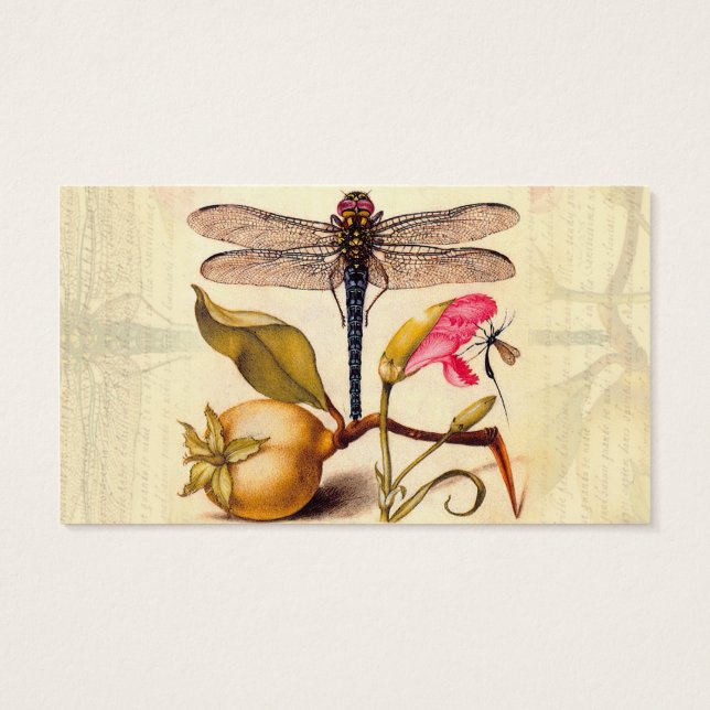 Libélula Arte Botânico da Natureza Hoefnagel (Verso)
