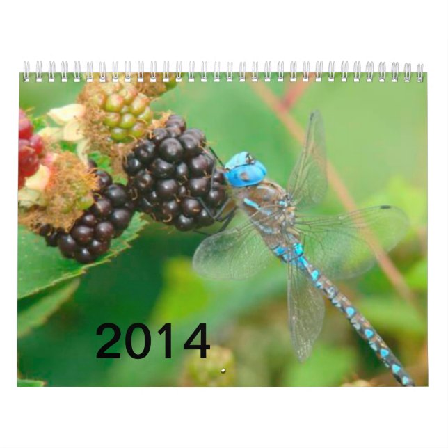 Libélula azul que come o calendário das framboesas (Capa)