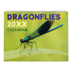 Libélulas na Natureza Calendário de Parede Fofo