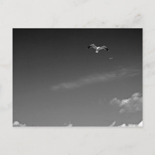 Liberdade em cartão postal PB