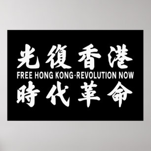 Liberte a Revolução de Hong Kong Agora! Poster de 