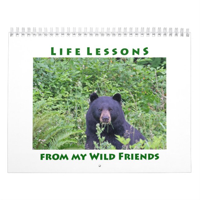 Lições de vida Calendário animal (Capa)