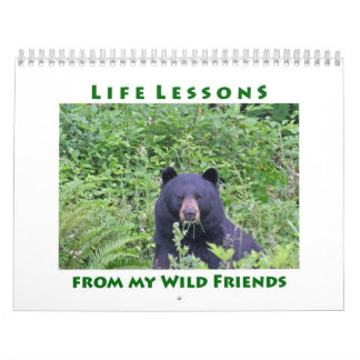 Lições de vida Calendário animal