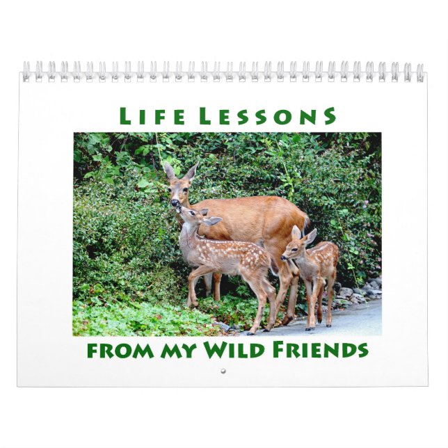 Lições de Vida Calendário Animal Selvagem (Capa)