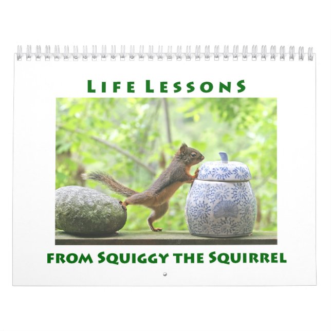 Lições de Vida do Calendário de Esquilo (Capa)