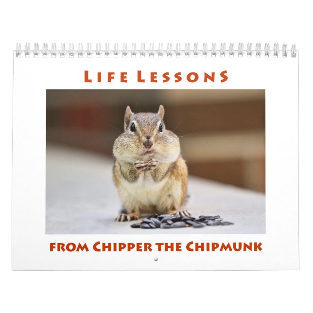 Lições de vida do chipset no calendário do chipset (Capa)