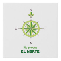 Lienzo Rosa de los vientos