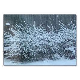 Ligeiramente, advérbio, em cartões de leitura com 