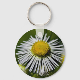 Li'l Daisy Chaveiro